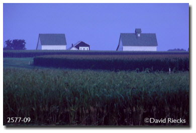 Three barns, before dawn
