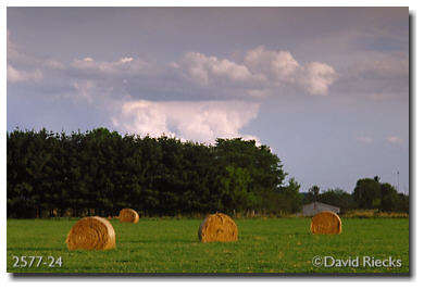 Round Bales