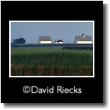 Three barns, daybreak