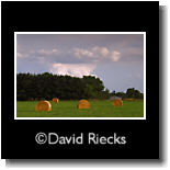 Round bales