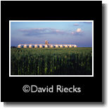 Grain elevators and corn field