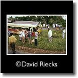 bus in the ditch