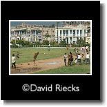 boys playing cricket